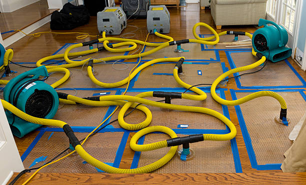Professional Storm Water Damage Restoration technician working in Woodlawn, VA